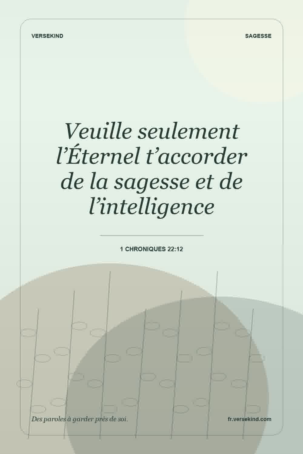 Veuille seulement l’Éternel t’accorder de la sagesse et de l’intelligence — 1 Chroniques 22:12