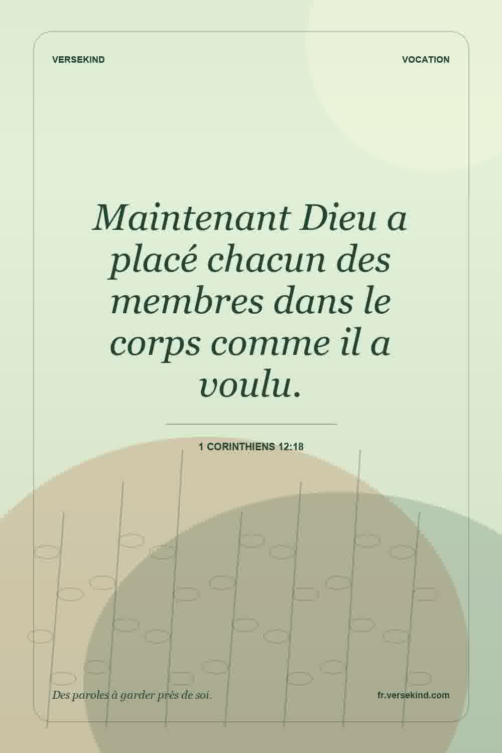 Maintenant Dieu a placé chacun des membres dans le corps comme il a voulu. — 1 Corinthiens 12:18