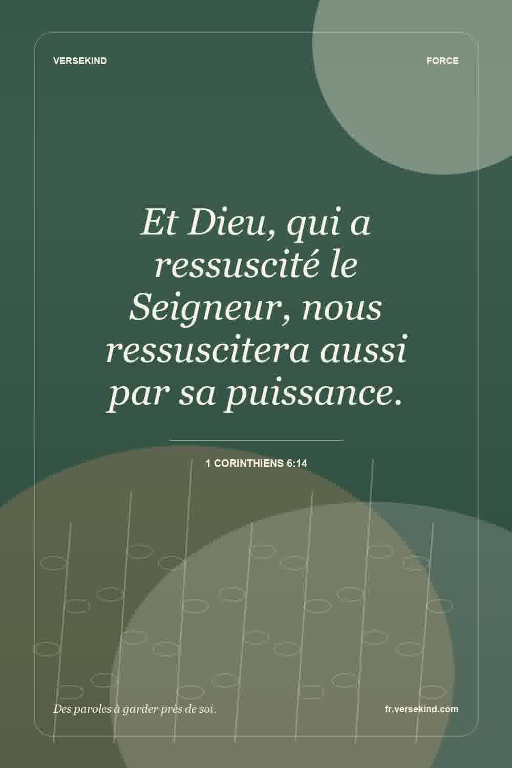Et Dieu, qui a ressuscité le Seigneur, nous ressuscitera aussi par sa puissance. — 1 Corinthiens 6:14