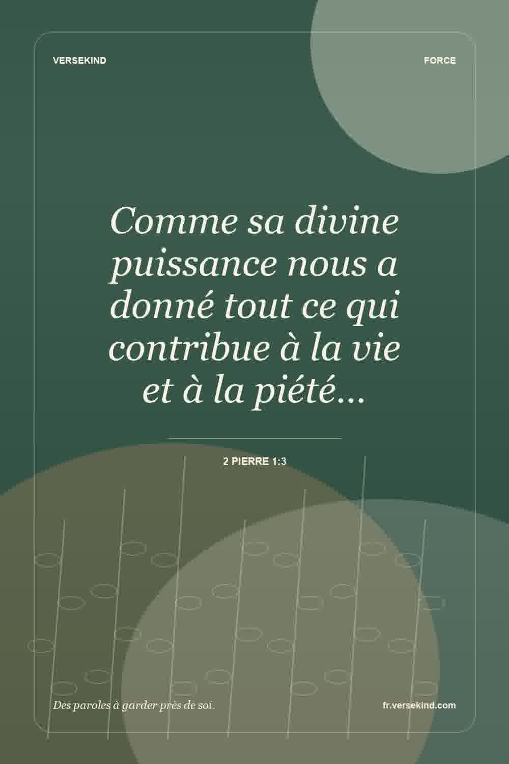 Comme sa divine puissance nous a donné tout ce qui contribue à la vie et à la piété… — 2 Pierre 1:3