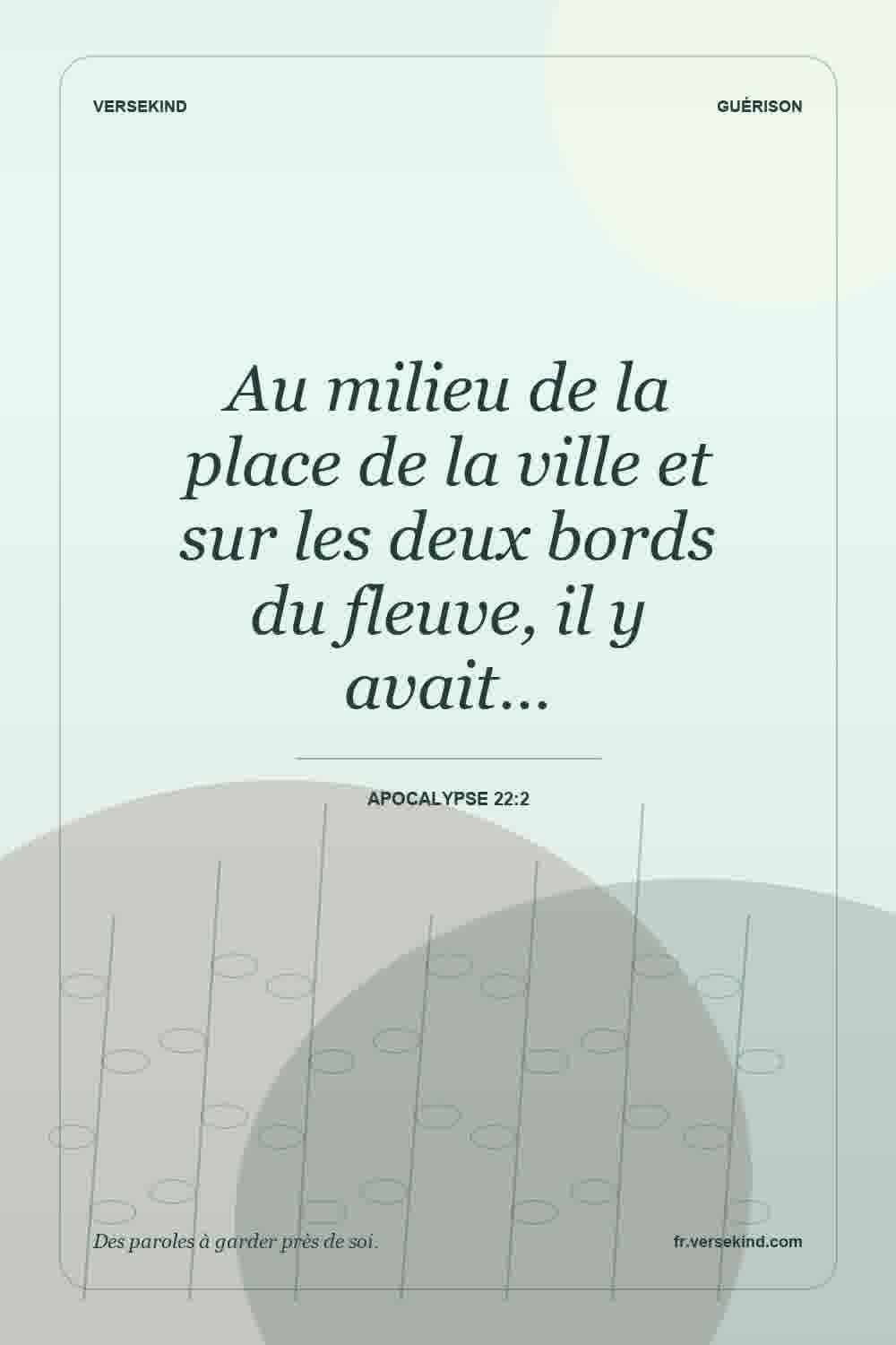 Au milieu de la place de la ville et sur les deux bords du fleuve, il y avait… — Apocalypse 22:2