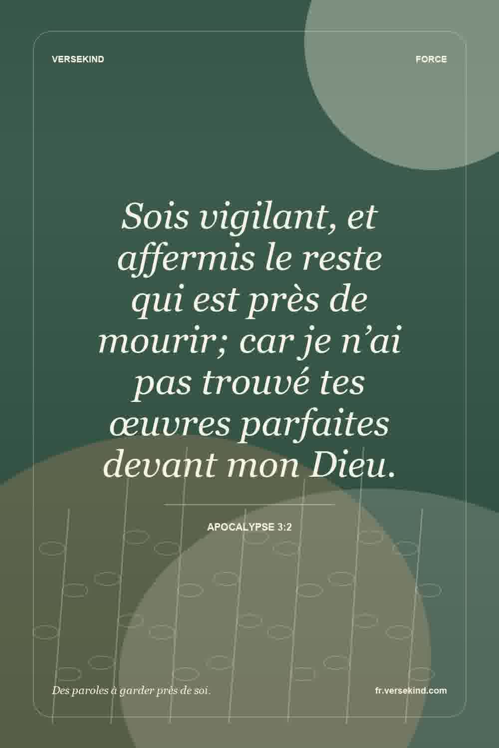 Sois vigilant, et affermis le reste qui est près de mourir; car je n’ai pas trouvé tes œuvres parfaites devant mon Dieu. — Apocalypse 3:2