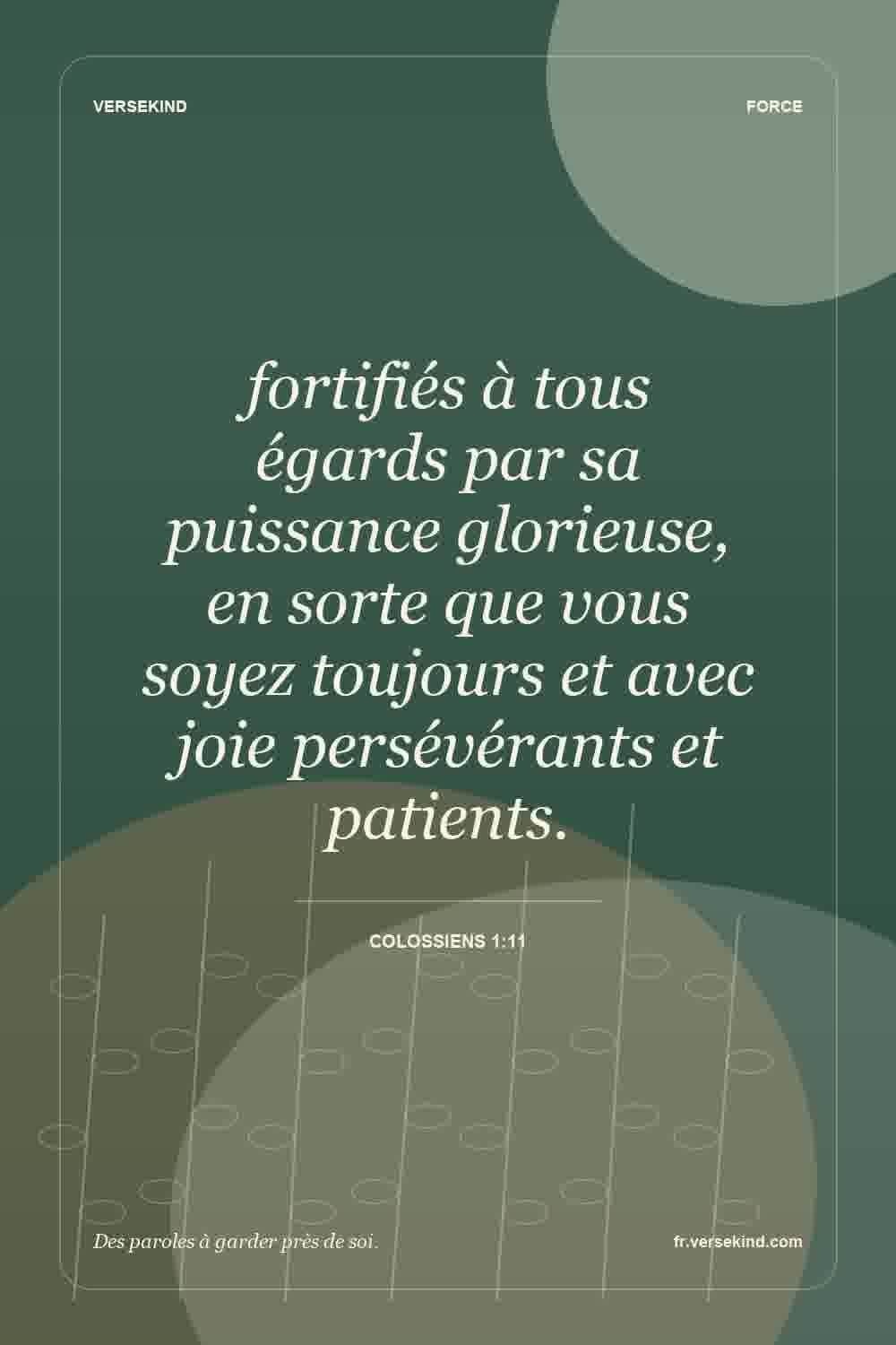 fortifiés à tous égards par sa puissance glorieuse, en sorte que vous soyez toujours et avec joie persévérants et patients. — Colossiens 1:11