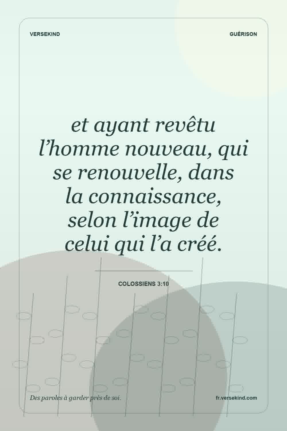 et ayant revêtu l’homme nouveau, qui se renouvelle, dans la connaissance, selon l’image de celui qui l’a créé. — Colossiens 3:10
