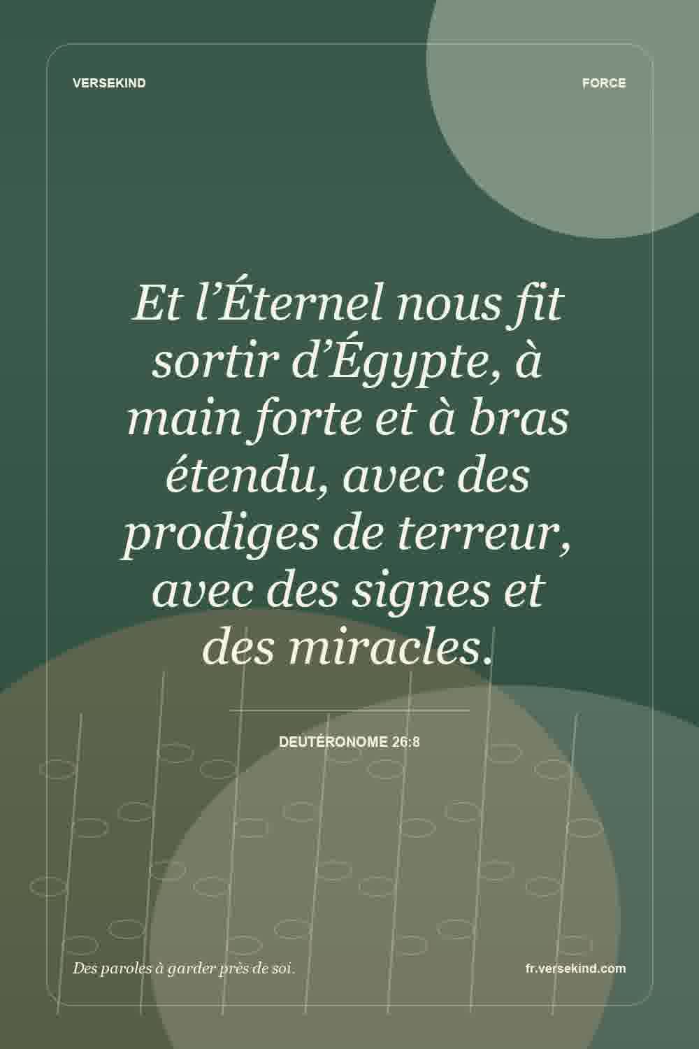 Et l’Éternel nous fit sortir d’Égypte, à main forte et à bras étendu, avec des prodiges de terreur, avec des signes et des miracles. — Deutéronome 26:8