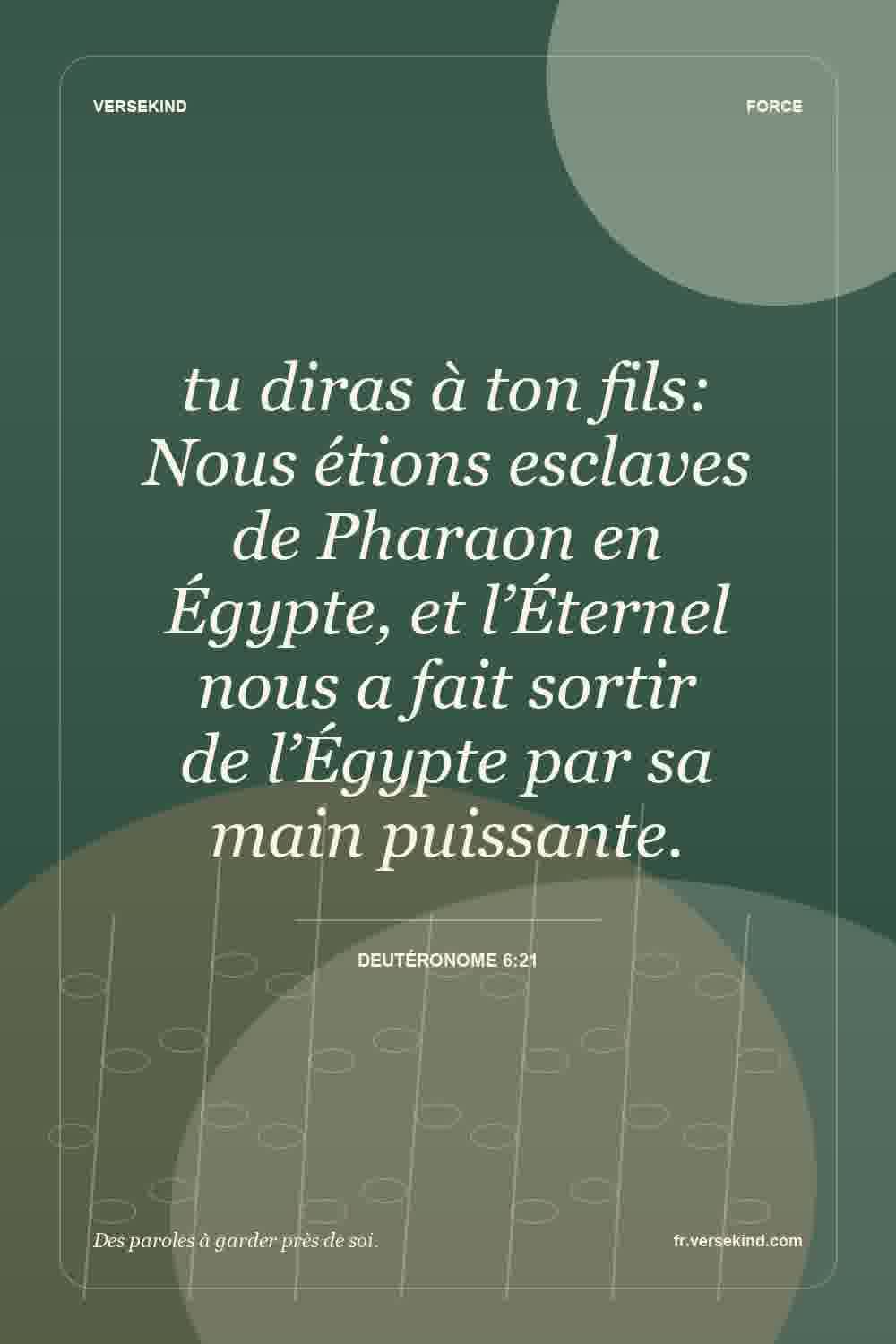 tu diras à ton fils: Nous étions esclaves de Pharaon en Égypte, et l’Éternel nous a fait sortir de l’Égypte par sa main puissante. — Deutéronome 6:21