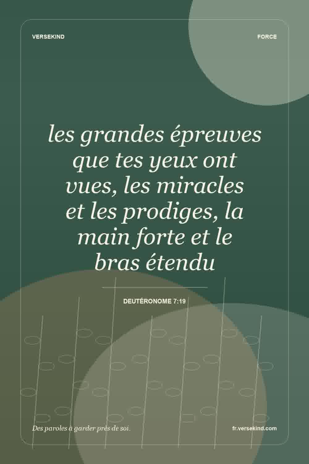 les grandes épreuves que tes yeux ont vues, les miracles et les prodiges, la main forte et le bras étendu — Deutéronome 7:19