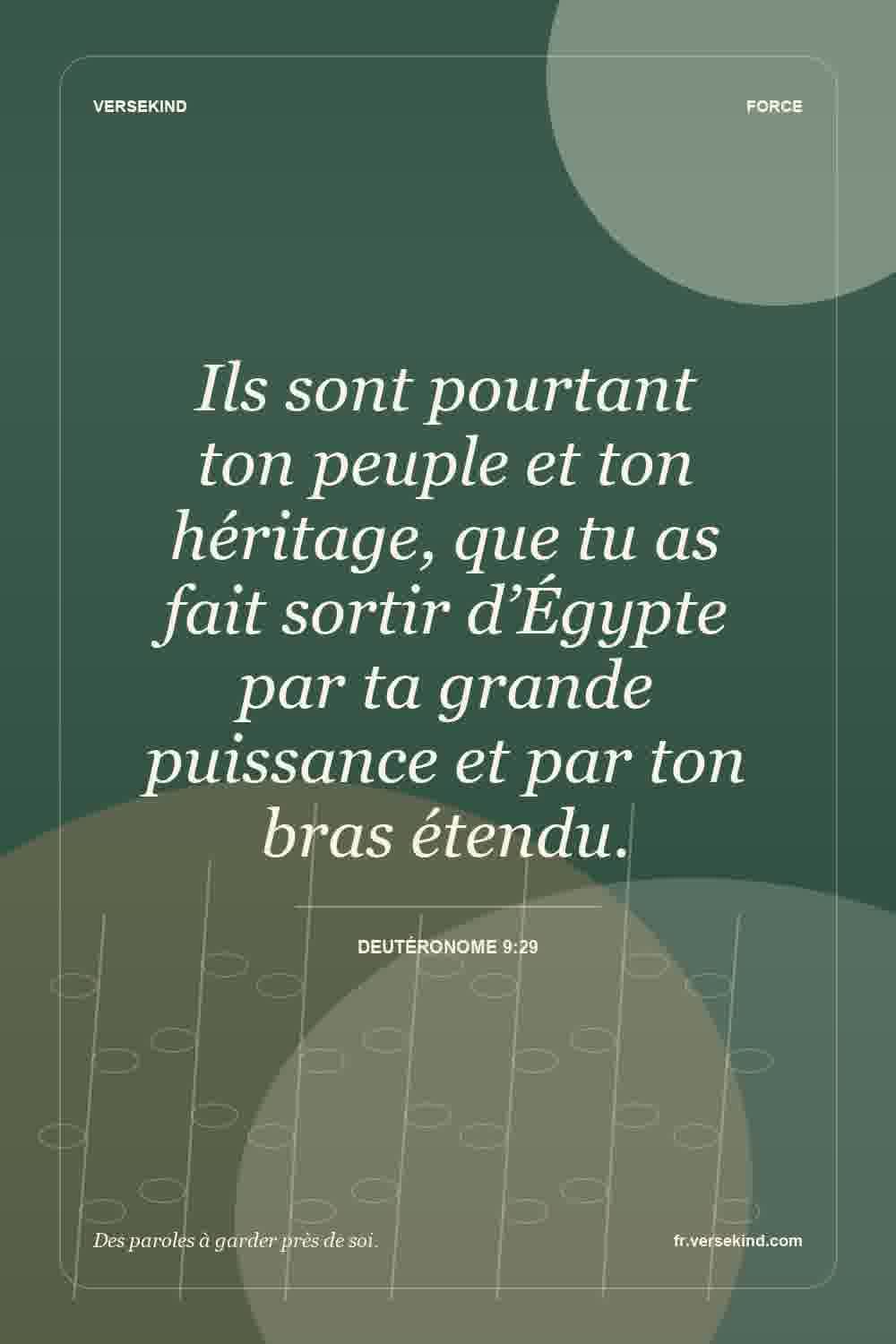 Ils sont pourtant ton peuple et ton héritage, que tu as fait sortir d’Égypte par ta grande puissance et par ton bras étendu. — Deutéronome 9:29