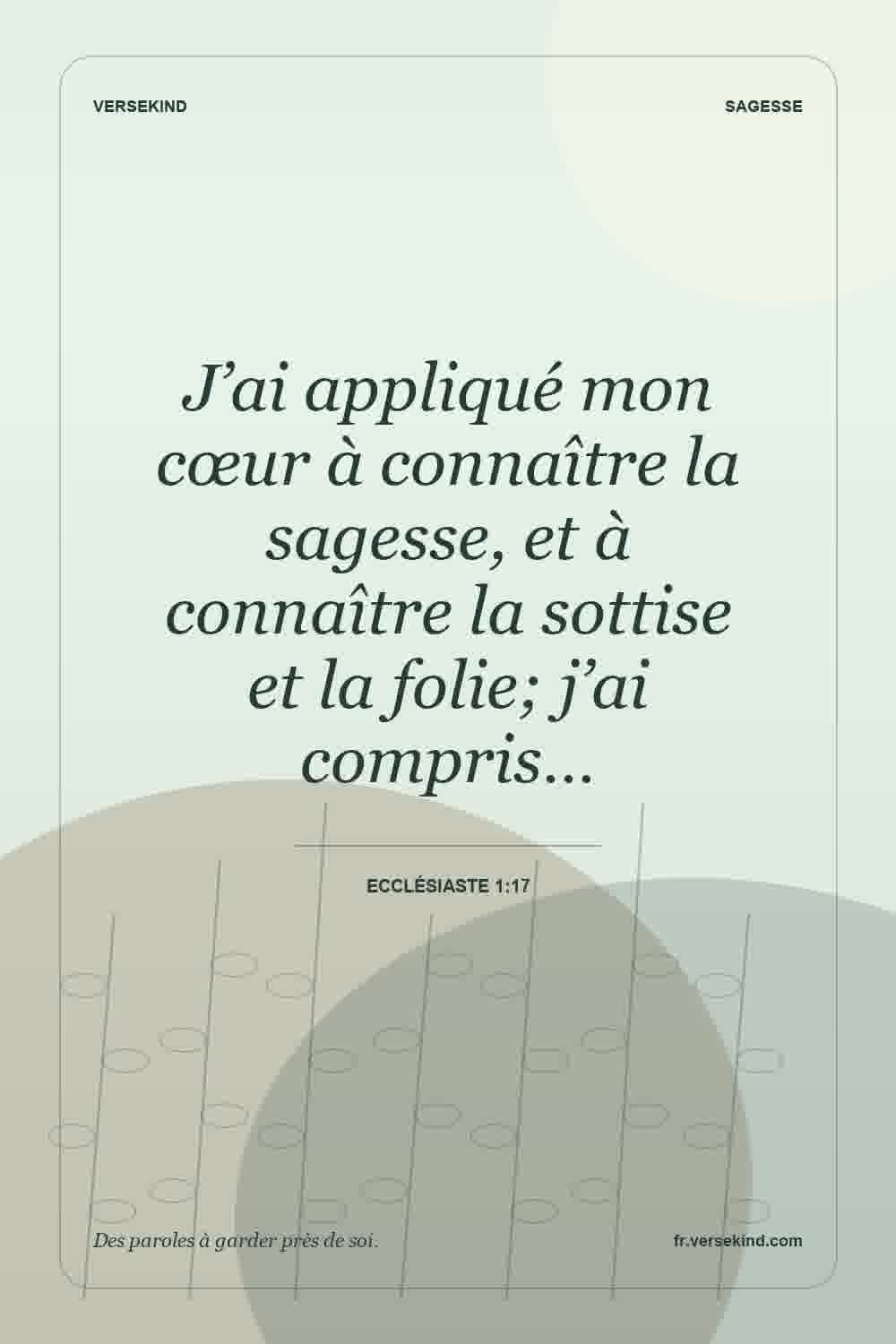 J’ai appliqué mon cœur à connaître la sagesse, et à connaître la sottise et la folie; j’ai compris… — Ecclésiaste 1:17