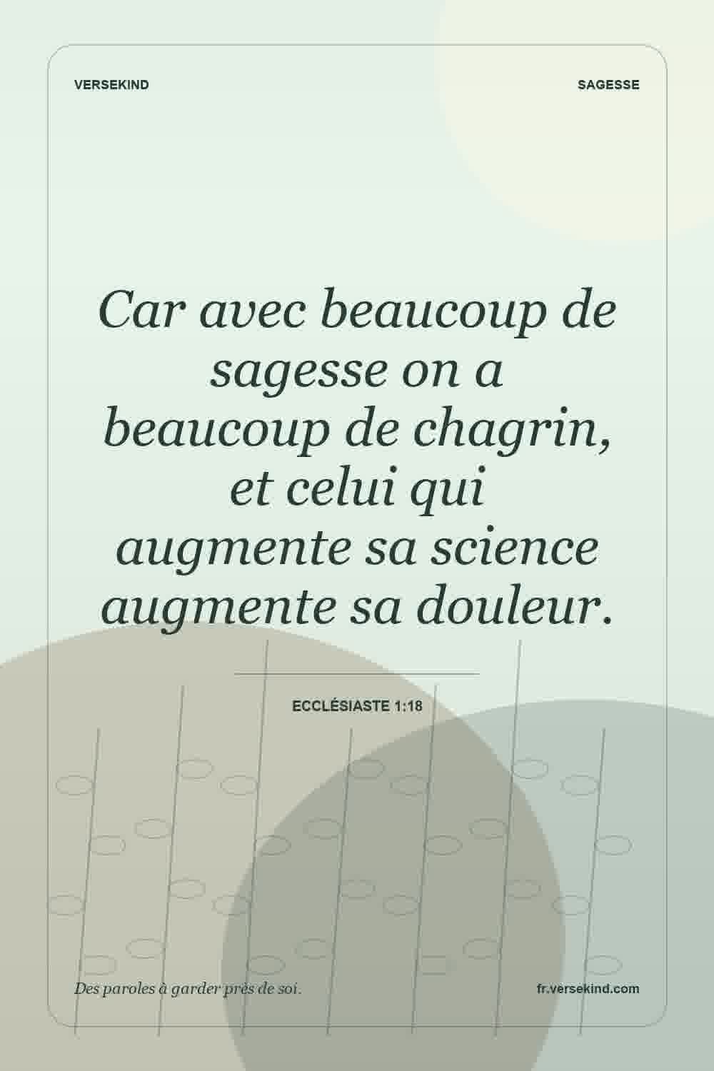 Car avec beaucoup de sagesse on a beaucoup de chagrin, et celui qui augmente sa science augmente sa douleur. — Ecclésiaste 1:18
