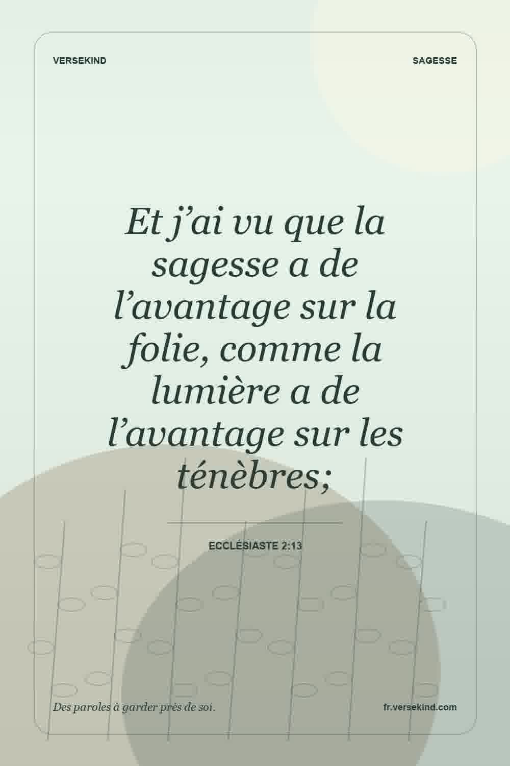 Et j’ai vu que la sagesse a de l’avantage sur la folie, comme la lumière a de l’avantage sur les ténèbres; — Ecclésiaste 2:13