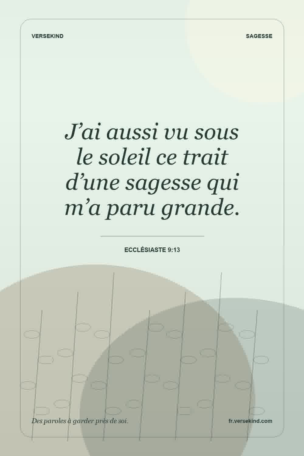 J’ai aussi vu sous le soleil ce trait d’une sagesse qui m’a paru grande. — Ecclésiaste 9:13