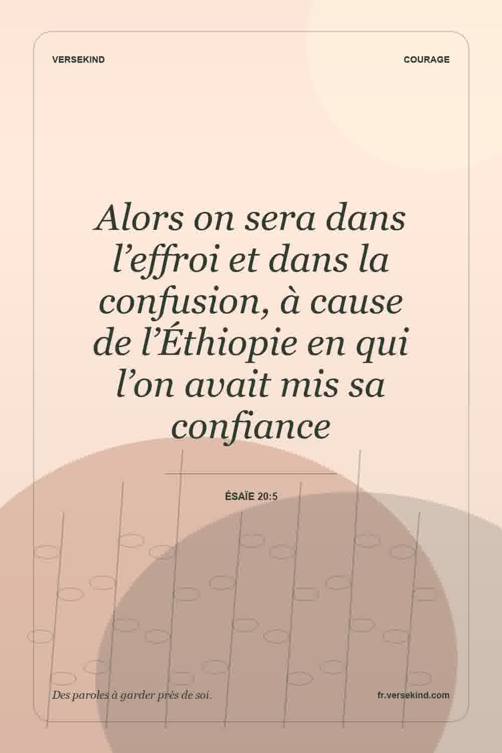 Alors on sera dans l’effroi et dans la confusion, à cause de l’Éthiopie en qui l’on avait mis sa confiance — Ésaïe 20:5