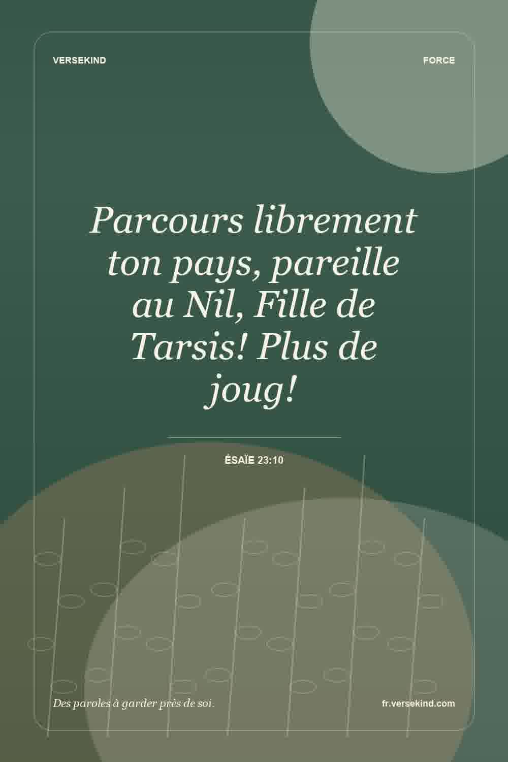 Parcours librement ton pays, pareille au Nil, Fille de Tarsis! Plus de joug! — Ésaïe 23:10
