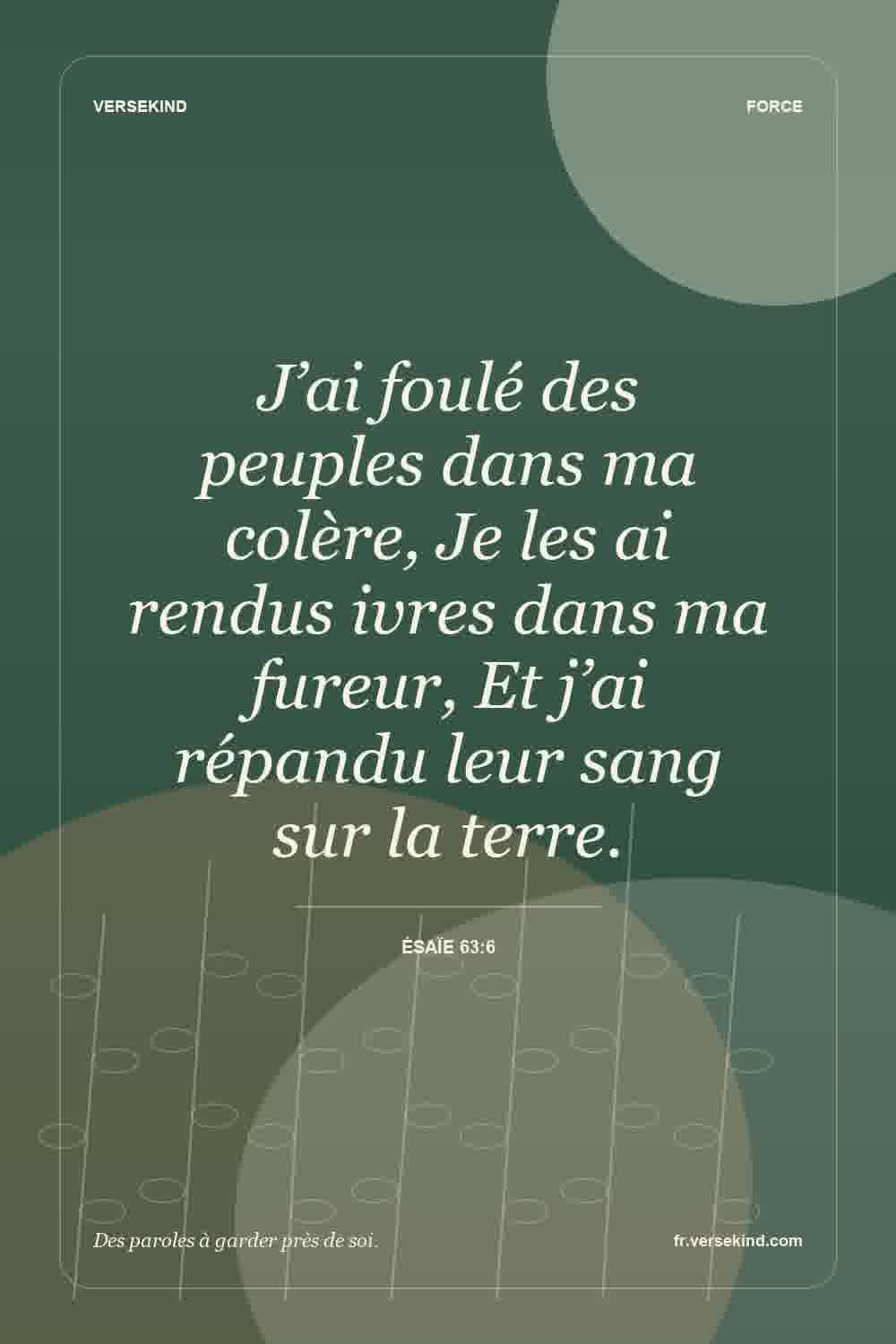 J’ai foulé des peuples dans ma colère, Je les ai rendus ivres dans ma fureur, Et j’ai répandu leur sang sur la terre. — Ésaïe 63:6
