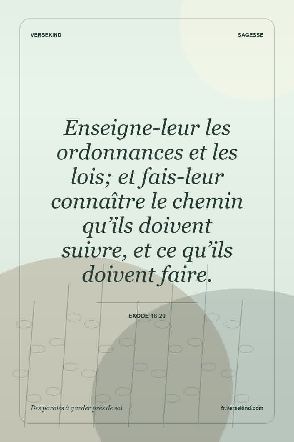 Enseigne-leur les ordonnances et les lois; et fais-leur connaître le chemin qu’ils doivent suivre, et ce qu’ils doivent faire. — Exode 18:20