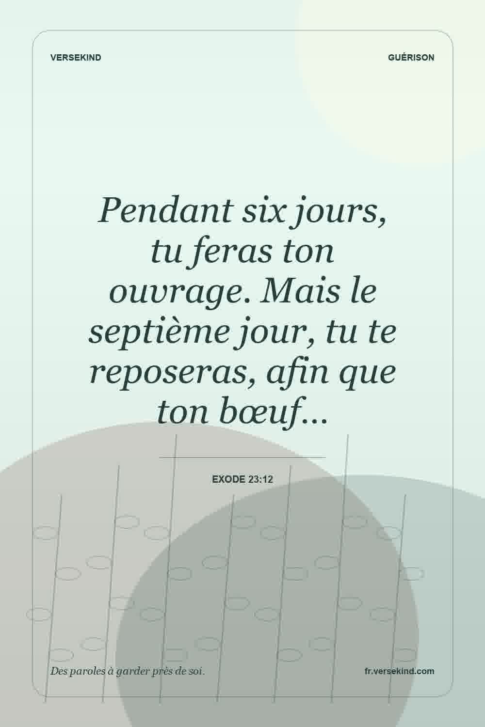 Pendant six jours, tu feras ton ouvrage. Mais le septième jour, tu te reposeras, afin que ton bœuf… — Exode 23:12