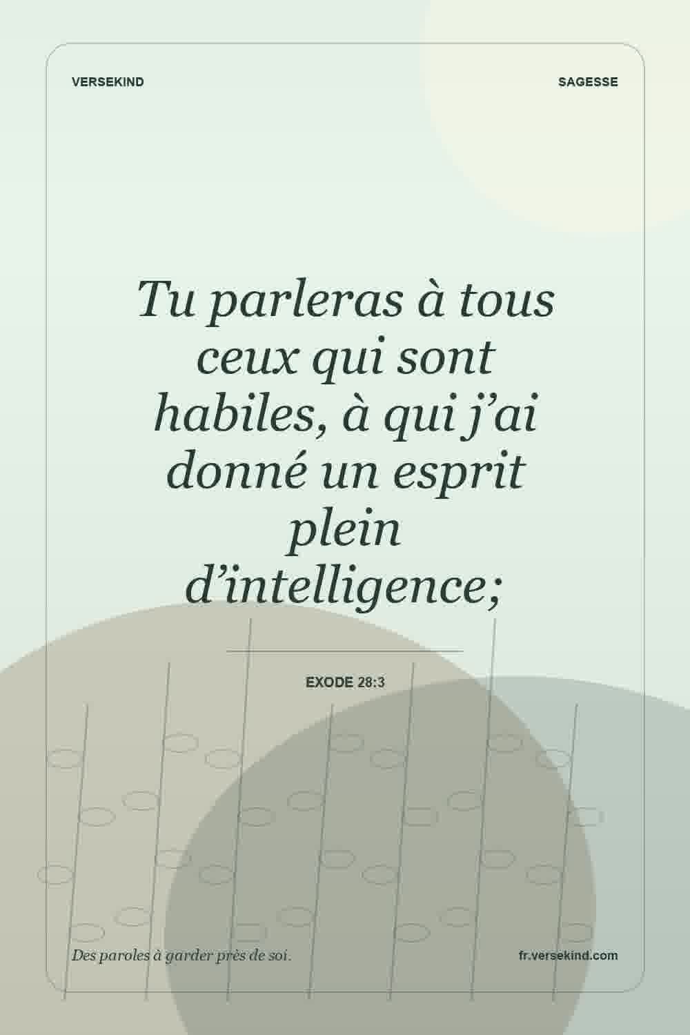 Tu parleras à tous ceux qui sont habiles, à qui j’ai donné un esprit plein d’intelligence; — Exode 28:3