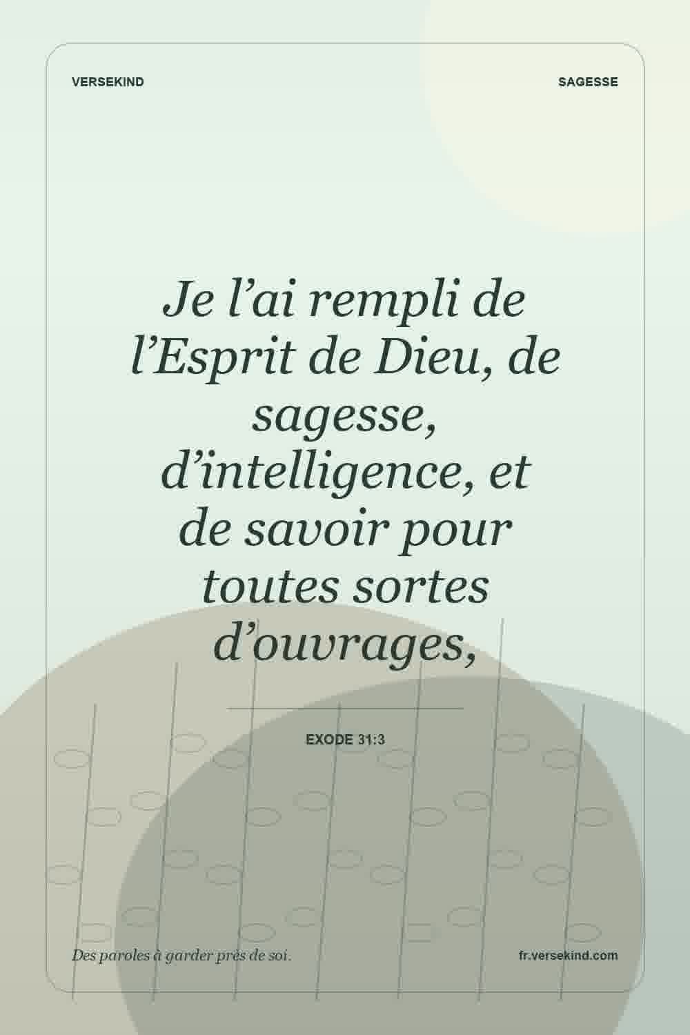 Je l’ai rempli de l’Esprit de Dieu, de sagesse, d’intelligence, et de savoir pour toutes sortes d’ouvrages, — Exode 31:3