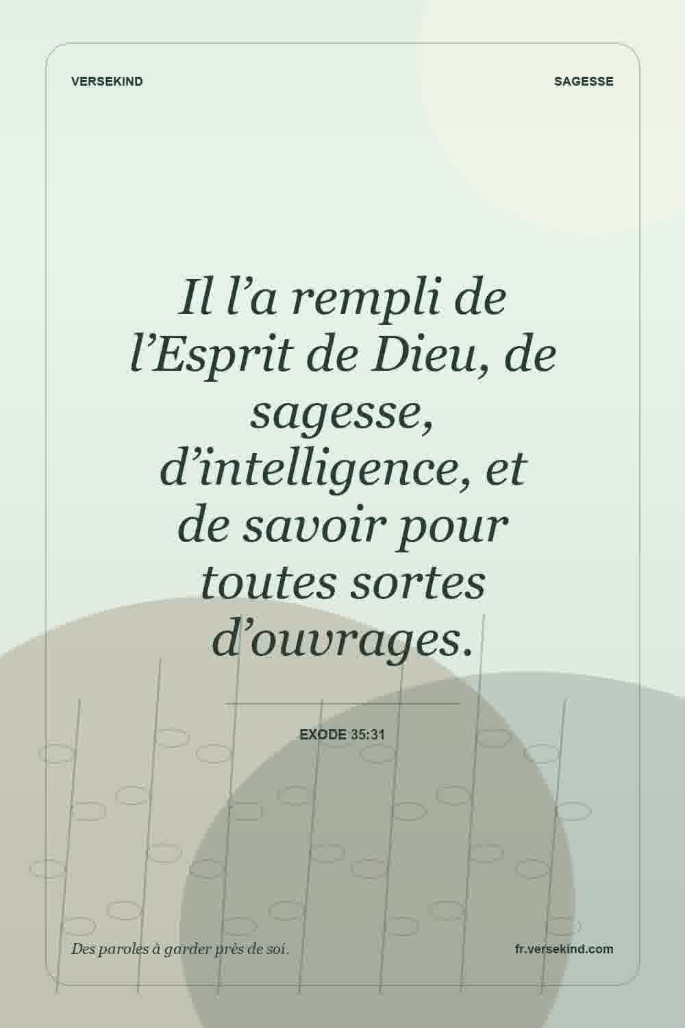 Il l’a rempli de l’Esprit de Dieu, de sagesse, d’intelligence, et de savoir pour toutes sortes d’ouvrages. — Exode 35:31