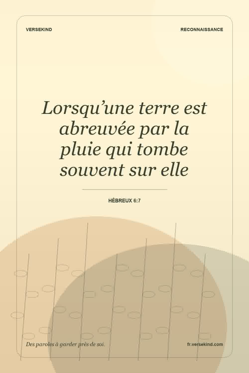 Lorsqu’une terre est abreuvée par la pluie qui tombe souvent sur elle — Hébreux 6:7
