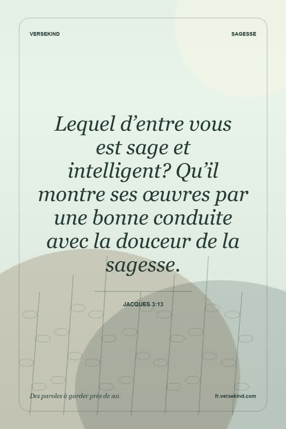 Lequel d’entre vous est sage et intelligent? Qu’il montre ses œuvres par une bonne conduite avec la douceur de la sagesse. — Jacques 3:13
