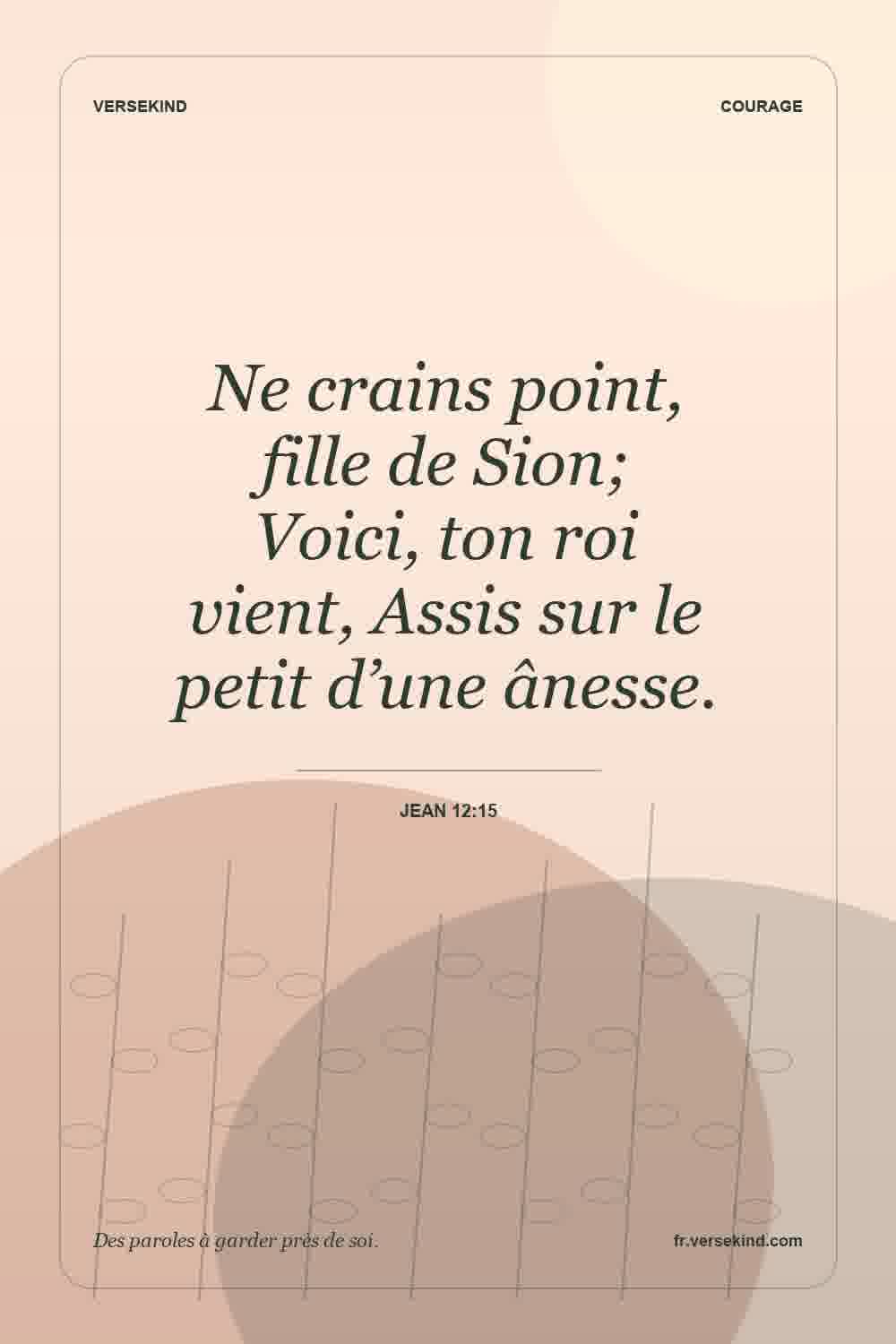 Ne crains point, fille de Sion; Voici, ton roi vient, Assis sur le petit d’une ânesse. — Jean 12:15