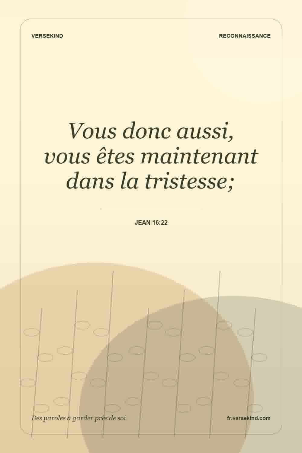 Vous donc aussi, vous êtes maintenant dans la tristesse; — Jean 16:22