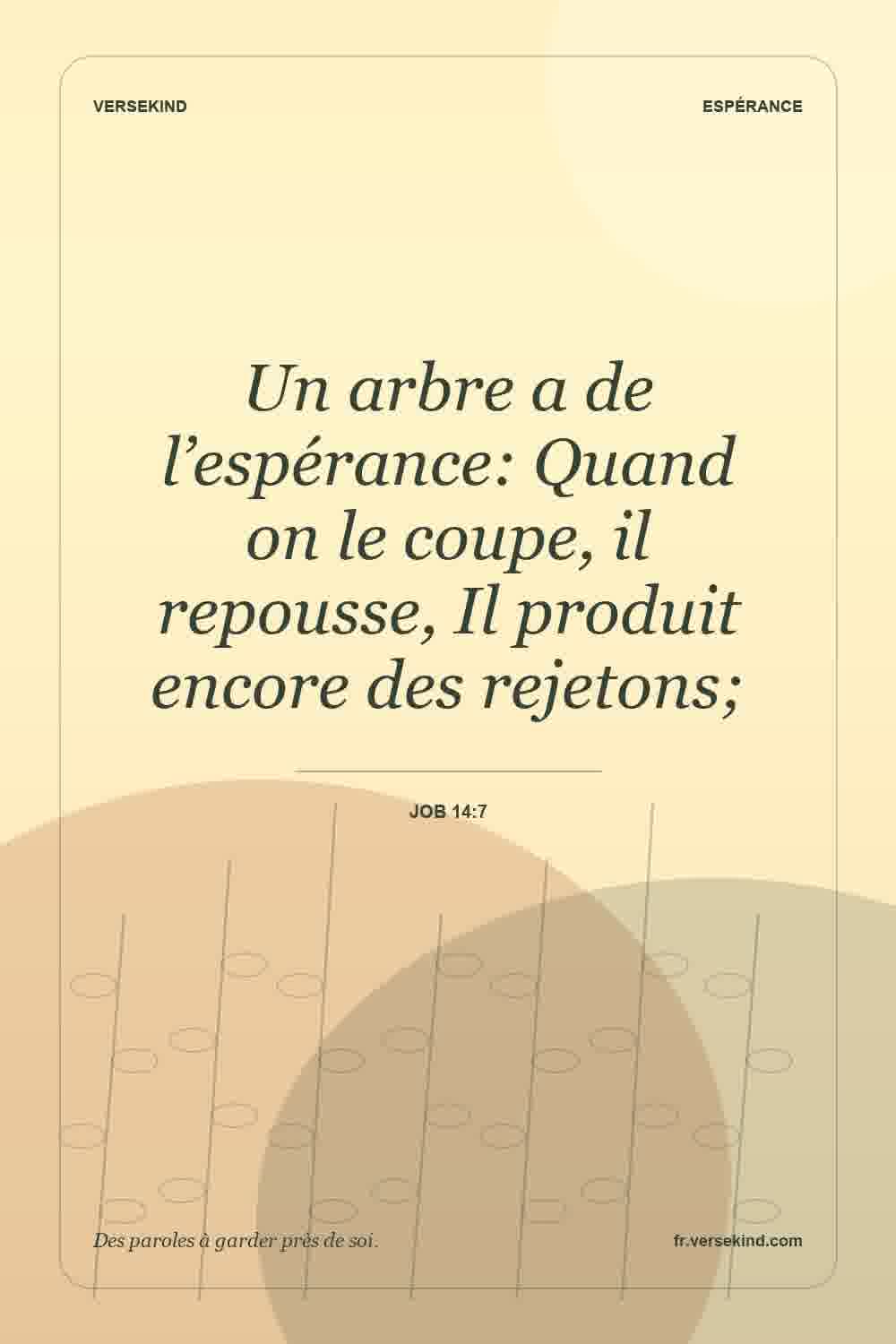 Un arbre a de l’espérance: Quand on le coupe, il repousse, Il produit encore des rejetons; — Job 14:7