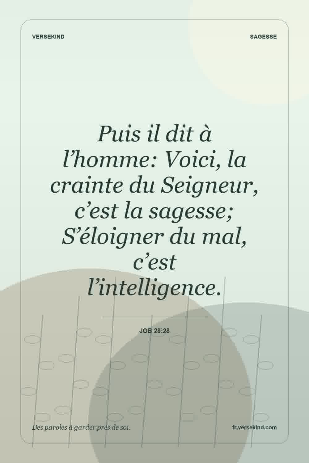 Puis il dit à l’homme: Voici, la crainte du Seigneur, c’est la sagesse; S’éloigner du mal, c’est l’intelligence. — Job 28:28