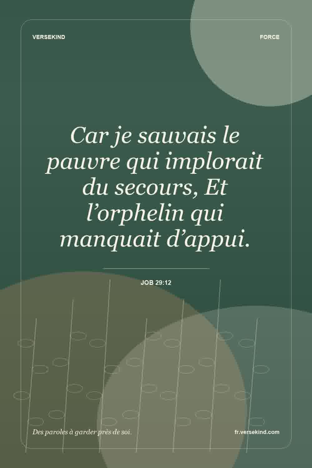 Car je sauvais le pauvre qui implorait du secours, Et l’orphelin qui manquait d’appui. — Job 29:12