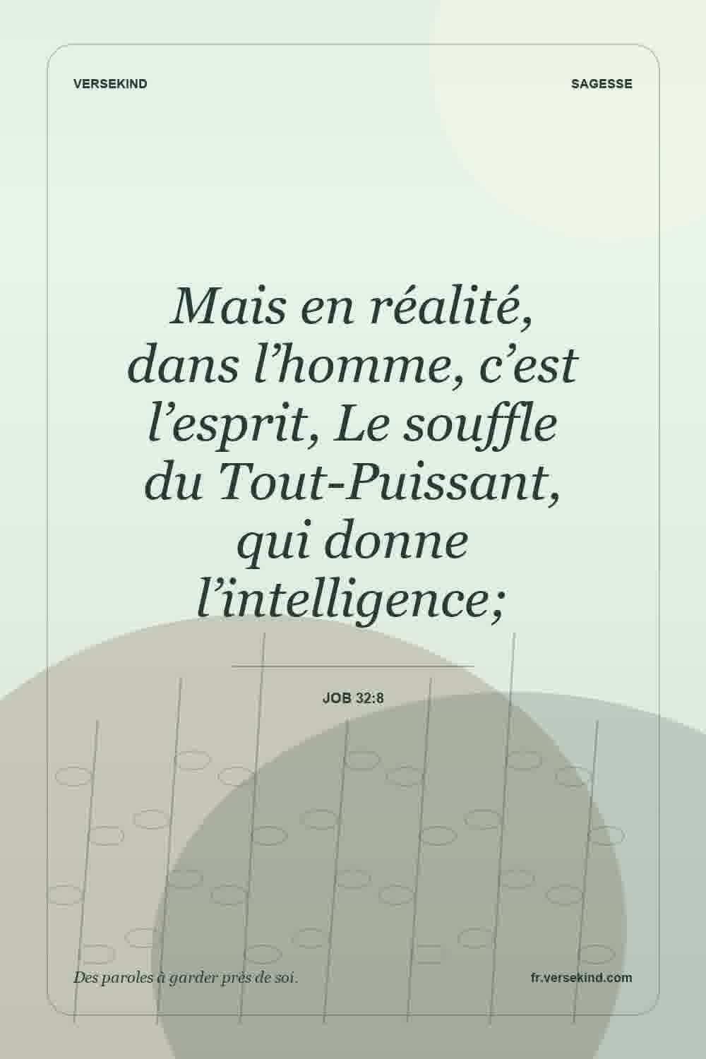 Mais en réalité, dans l’homme, c’est l’esprit, Le souffle du Tout-Puissant, qui donne l’intelligence; — Job 32:8