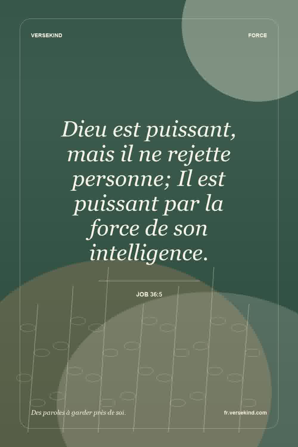 Dieu est puissant, mais il ne rejette personne; Il est puissant par la force de son intelligence. — Job 36:5