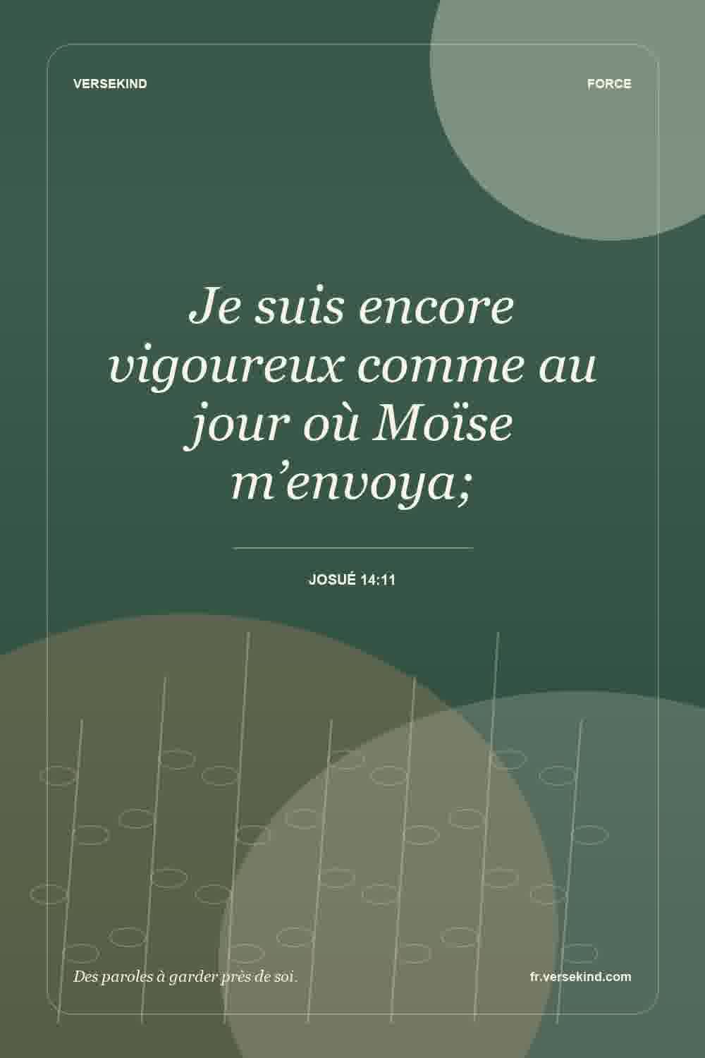 Je suis encore vigoureux comme au jour où Moïse m’envoya; — Josué 14:11