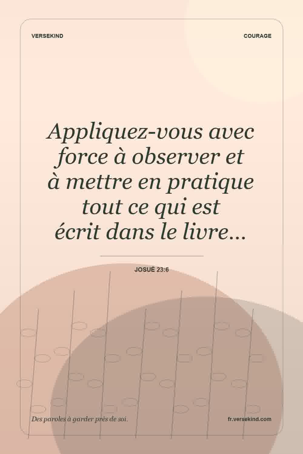 Appliquez-vous avec force à observer et à mettre en pratique tout ce qui est écrit dans le livre… — Josué 23:6