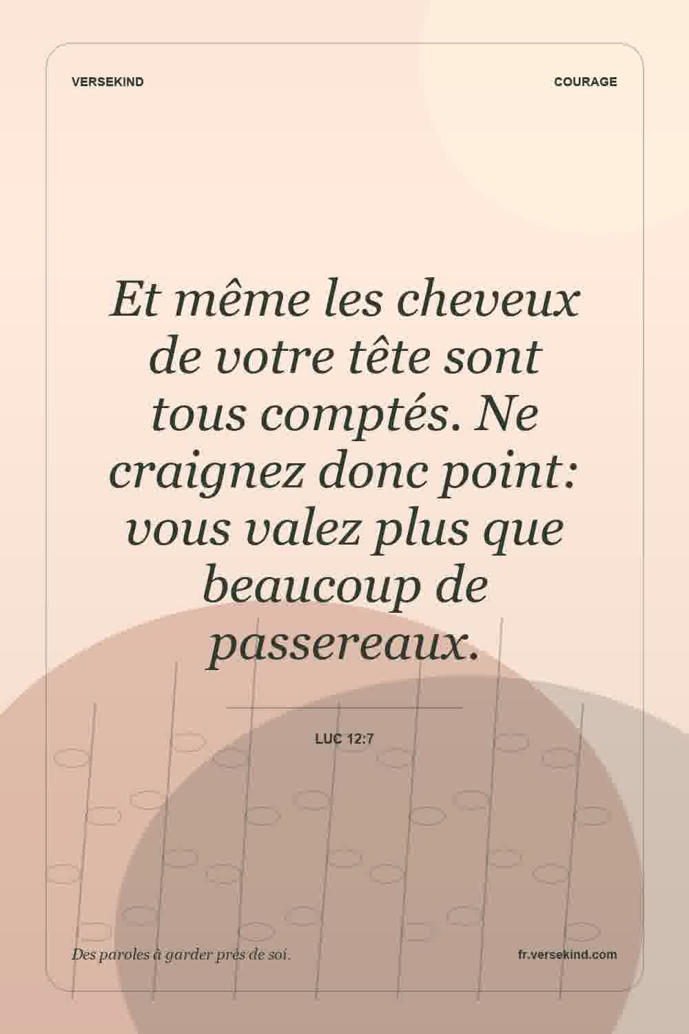 Et même les cheveux de votre tête sont tous comptés. Ne craignez donc point: vous valez plus que beaucoup de passereaux. — Luc 12:7