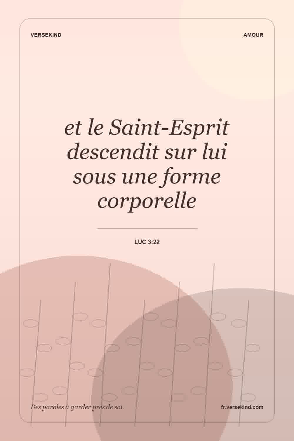 et le Saint-Esprit descendit sur lui sous une forme corporelle — Luc 3:22