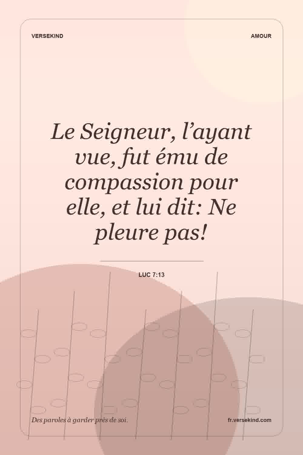 Le Seigneur, l’ayant vue, fut ému de compassion pour elle, et lui dit: Ne pleure pas! — Luc 7:13