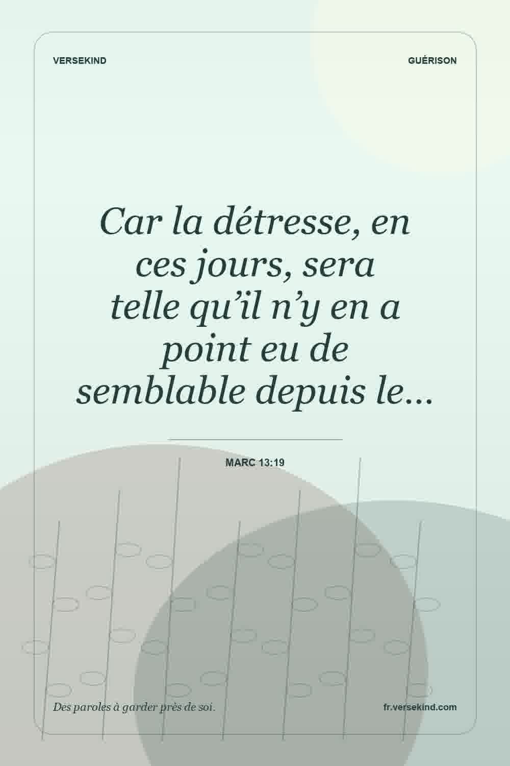 Car la détresse, en ces jours, sera telle qu’il n’y en a point eu de semblable depuis le… — Marc 13:19