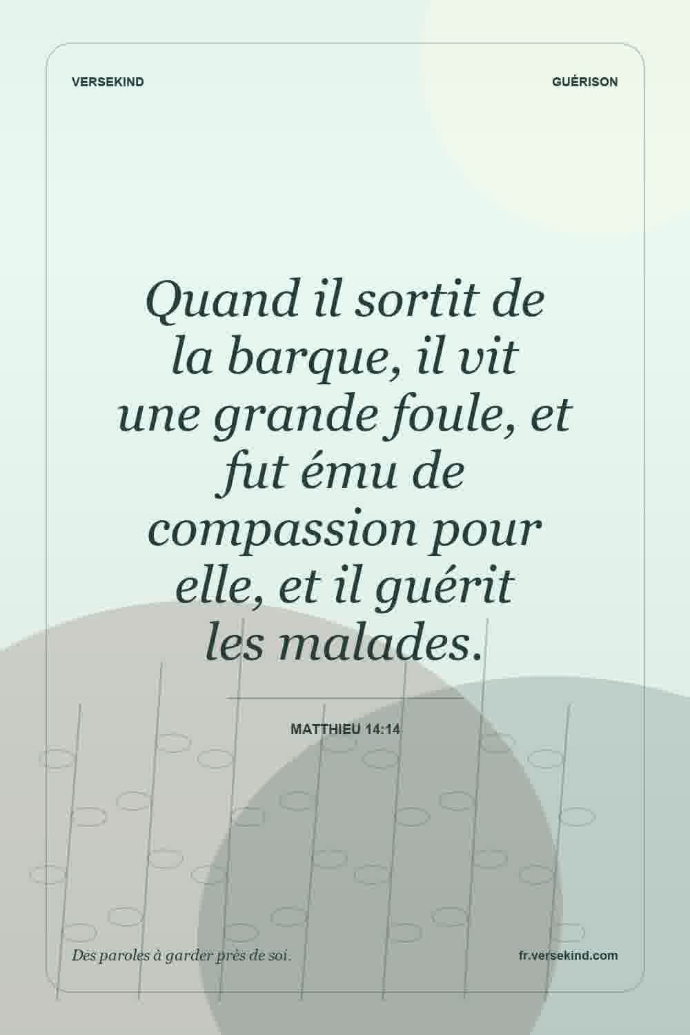 Quand il sortit de la barque, il vit une grande foule, et fut ému de compassion pour elle, et il guérit les malades. — Matthieu 14:14