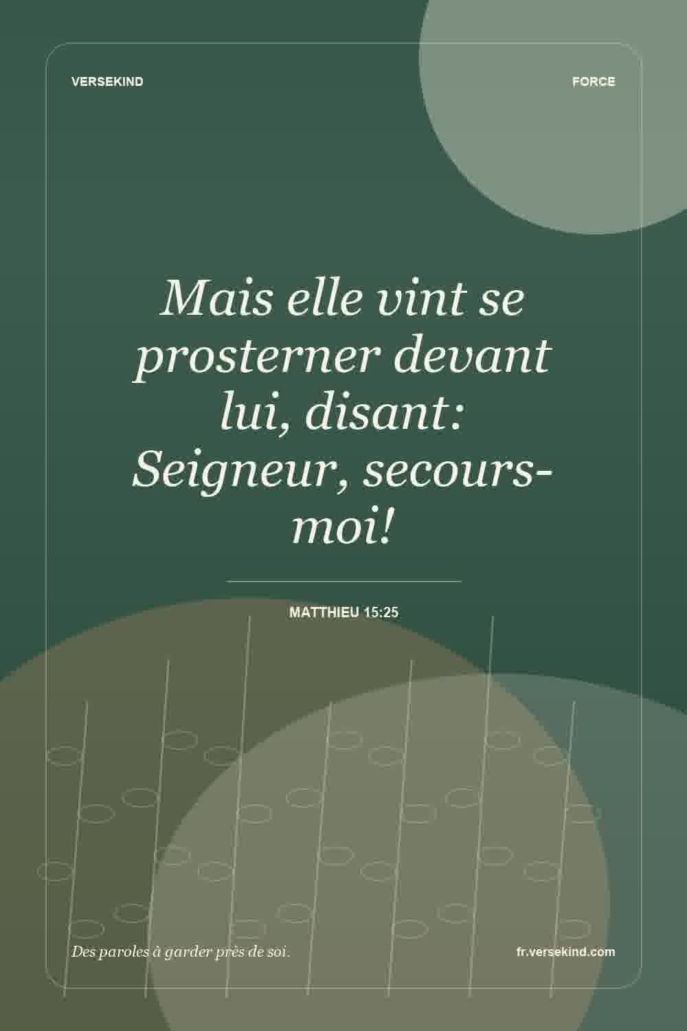 Mais elle vint se prosterner devant lui, disant: Seigneur, secours-moi! — Matthieu 15:25