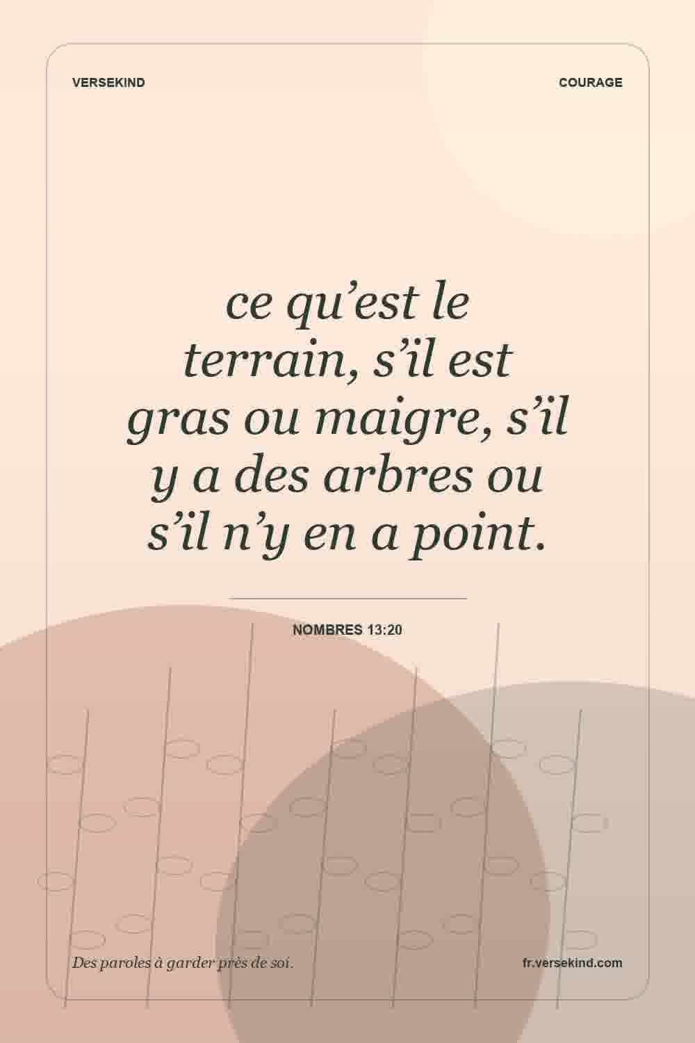 ce qu’est le terrain, s’il est gras ou maigre, s’il y a des arbres ou s’il n’y en a point. — Nombres 13:20