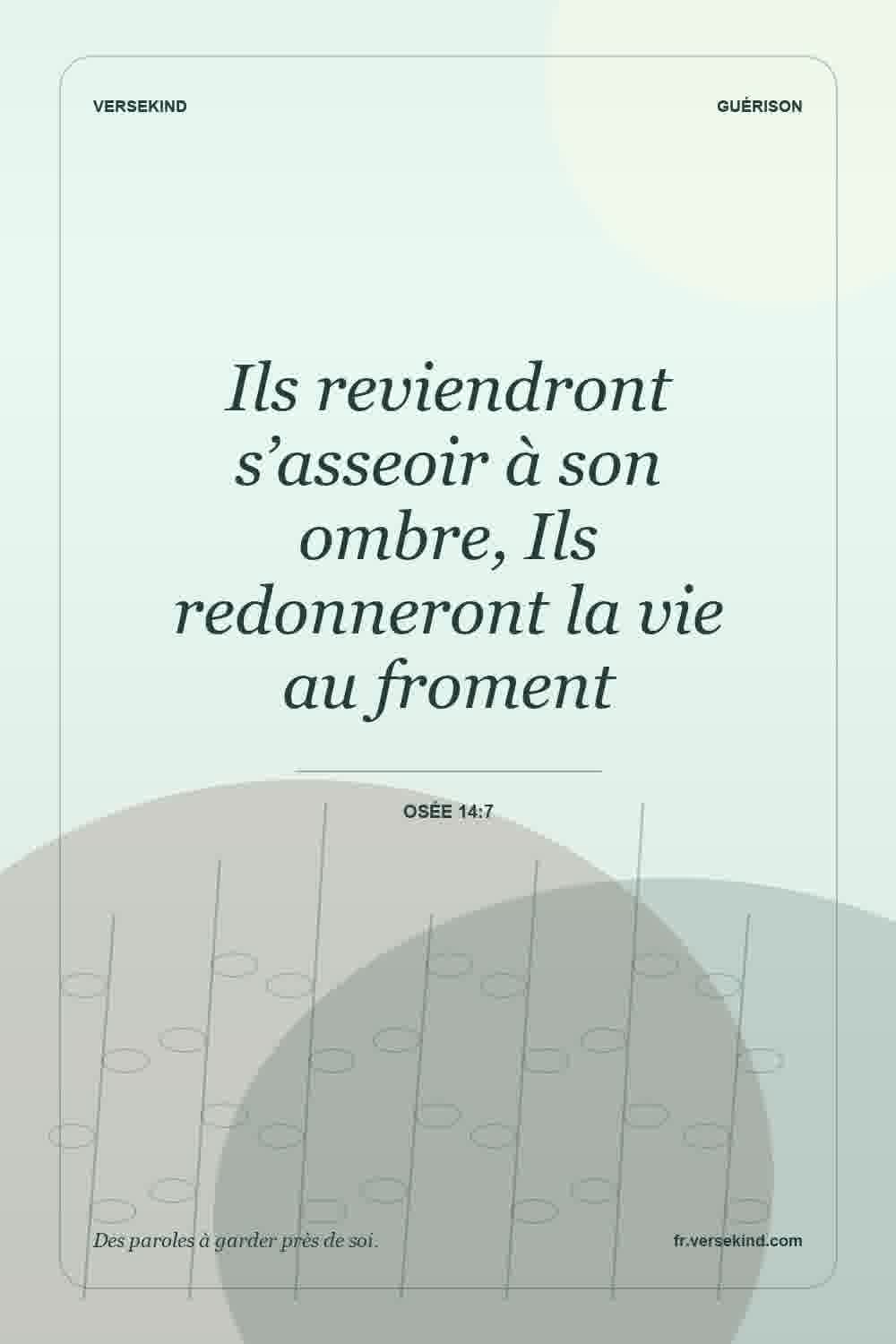 Ils reviendront s’asseoir à son ombre, Ils redonneront la vie au froment — Osée 14:7