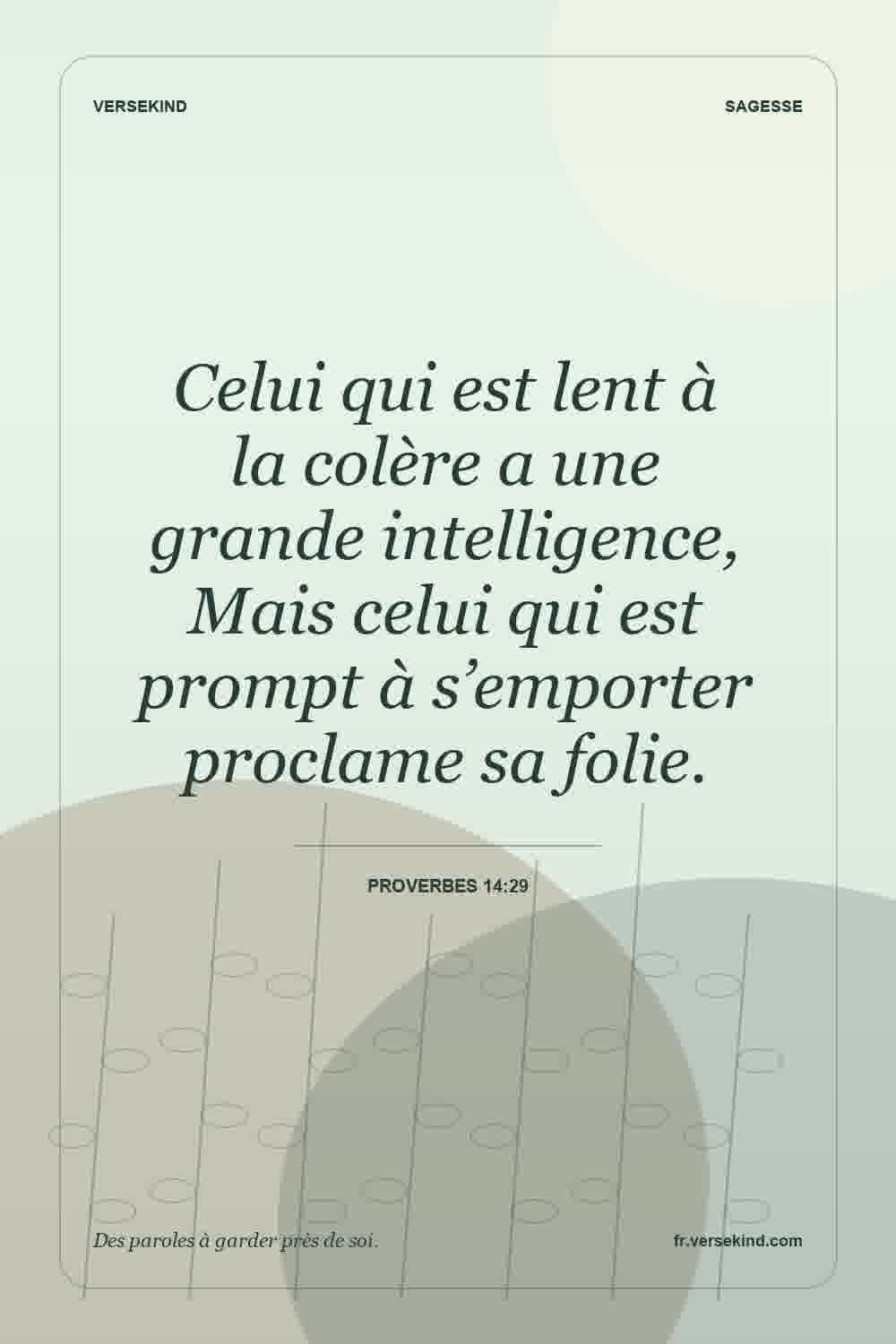 Celui qui est lent à la colère a une grande intelligence, Mais celui qui est prompt à s’emporter proclame sa folie. — Proverbes 14:29