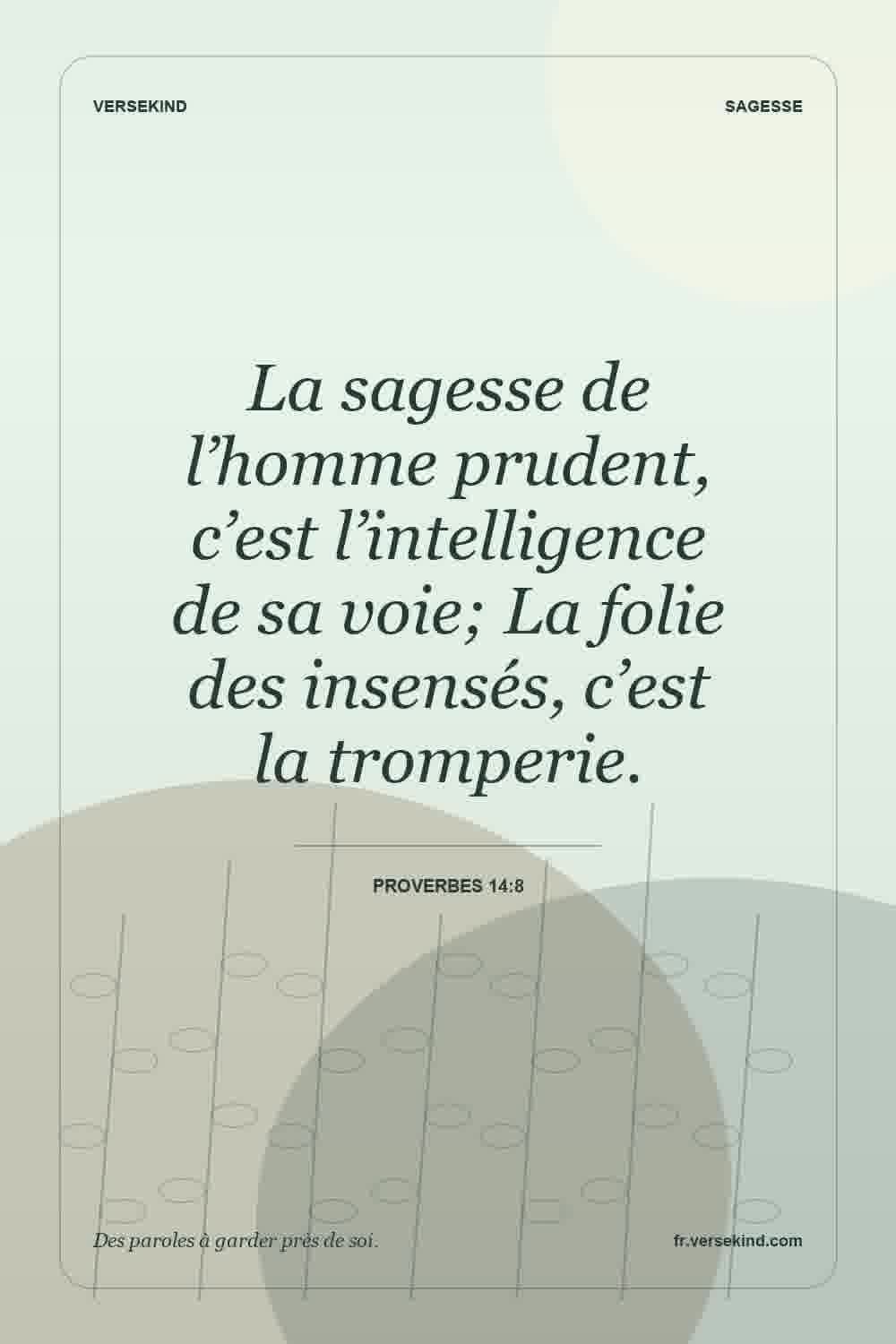 La sagesse de l’homme prudent, c’est l’intelligence de sa voie; La folie des insensés, c’est la tromperie. — Proverbes 14:8