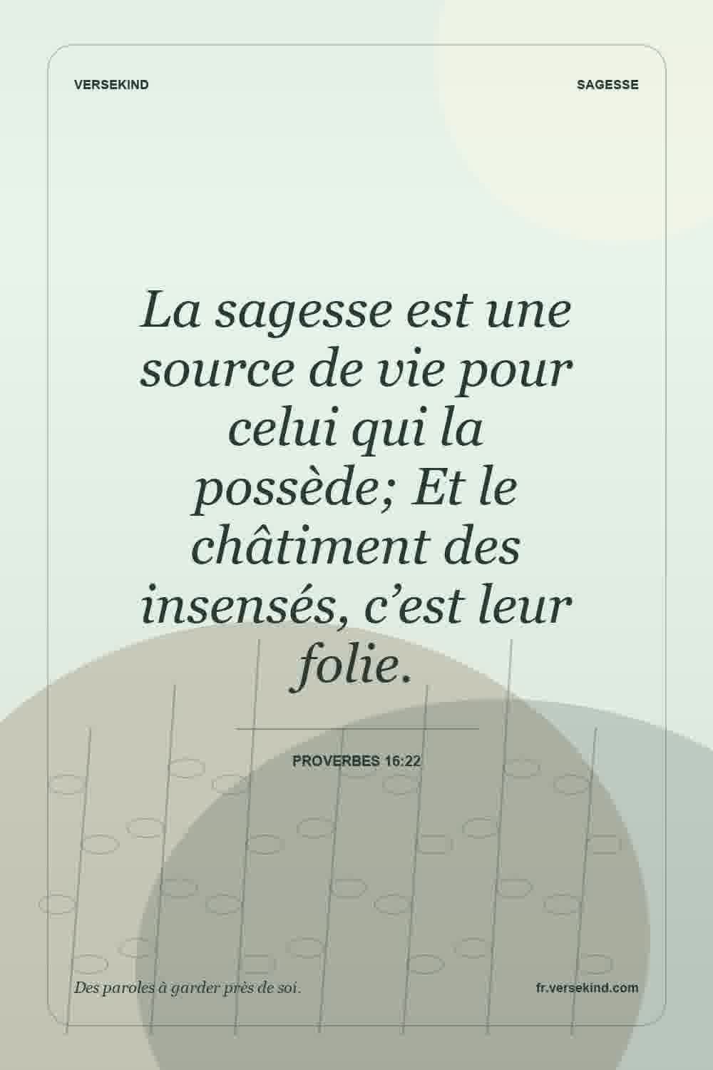La sagesse est une source de vie pour celui qui la possède; Et le châtiment des insensés, c’est leur folie. — Proverbes 16:22