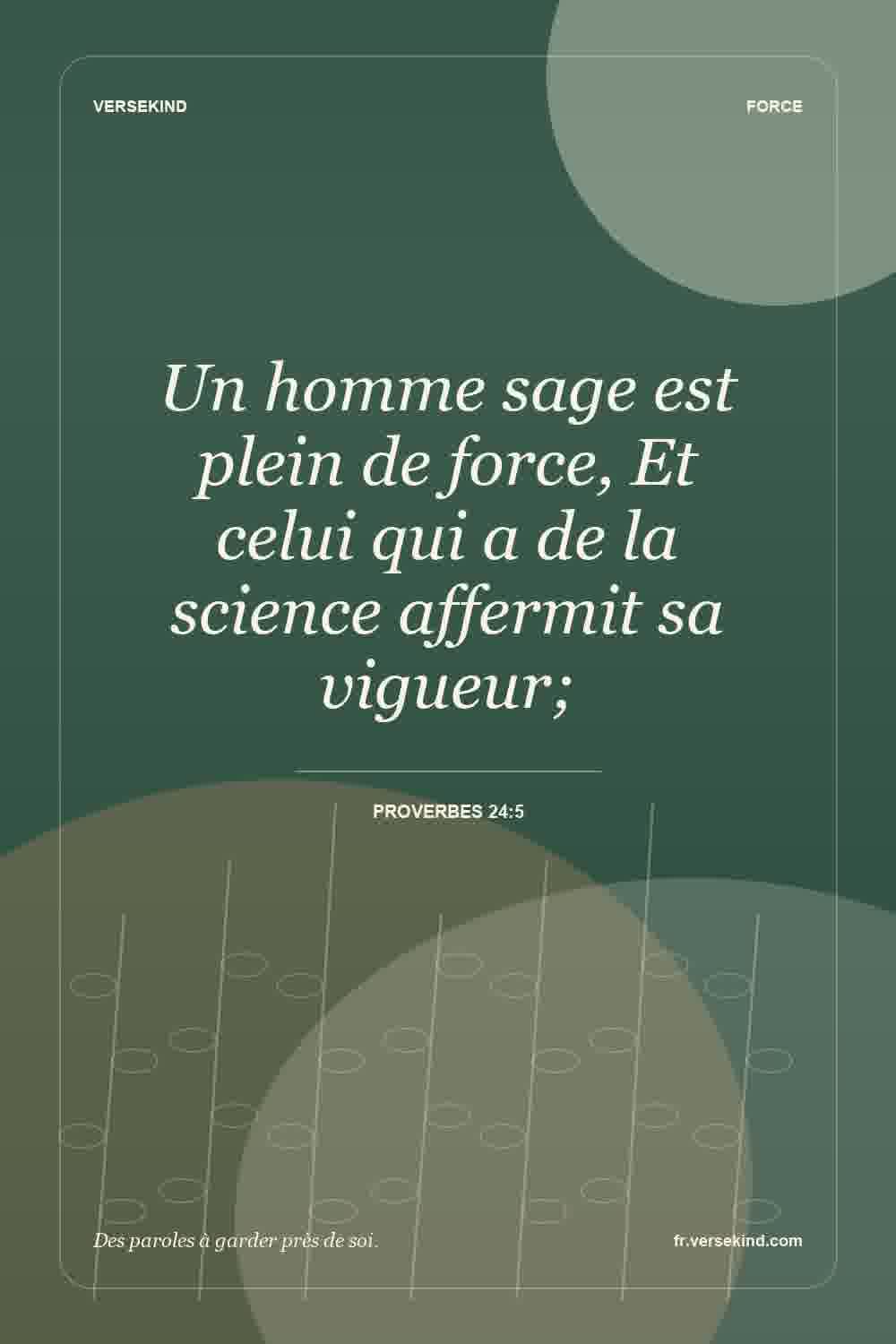 Un homme sage est plein de force, Et celui qui a de la science affermit sa vigueur; — Proverbes 24:5