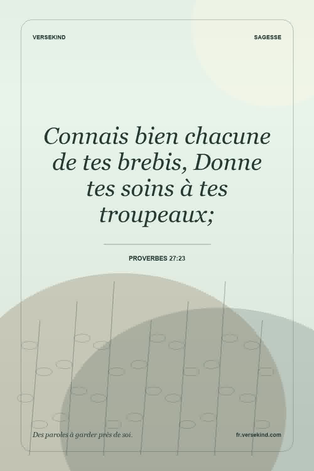 Connais bien chacune de tes brebis, Donne tes soins à tes troupeaux; — Proverbes 27:23