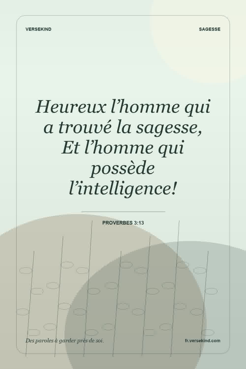 Heureux l’homme qui a trouvé la sagesse, Et l’homme qui possède l’intelligence! — Proverbes 3:13