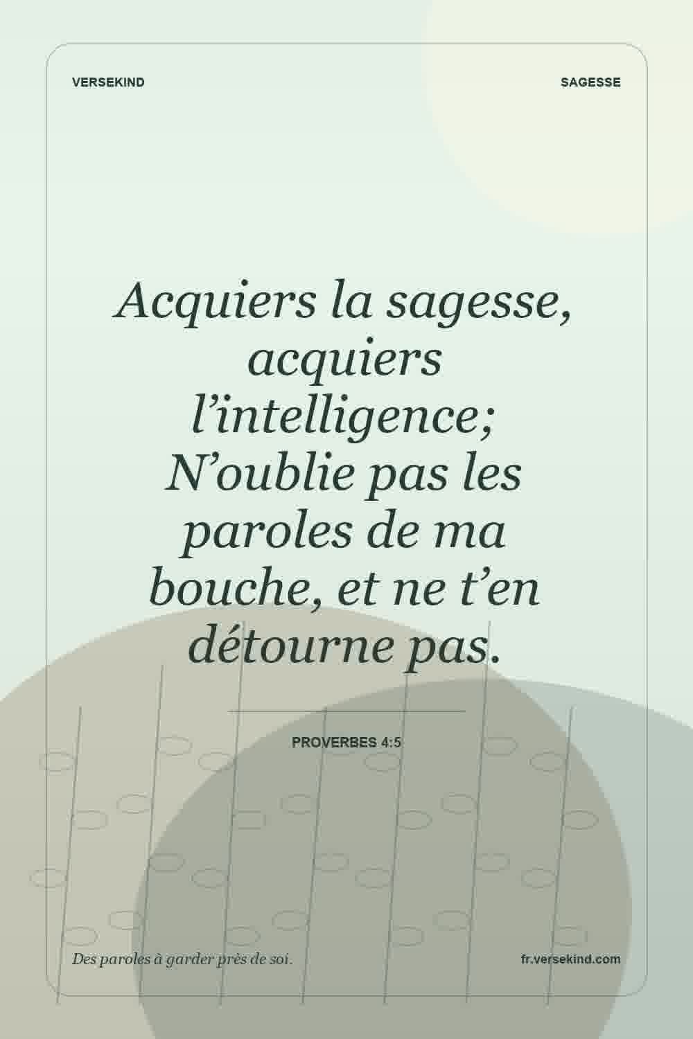 Acquiers la sagesse, acquiers l’intelligence; N’oublie pas les paroles de ma bouche, et ne t’en détourne pas. — Proverbes 4:5